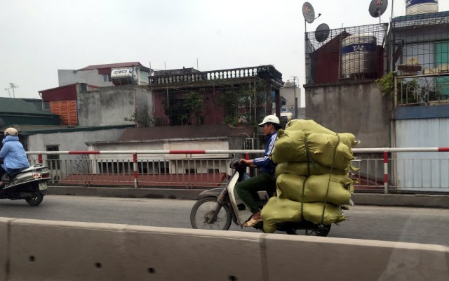 Things On Scooters - 1