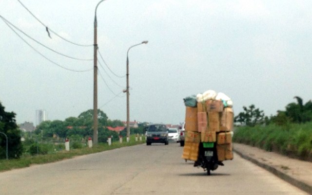 Things On Scooters - 2